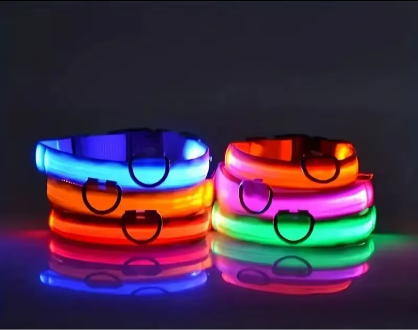 Collar LED Recargable para Perros | Antipérdida, Nocturno, Ajustable e Impermeable.