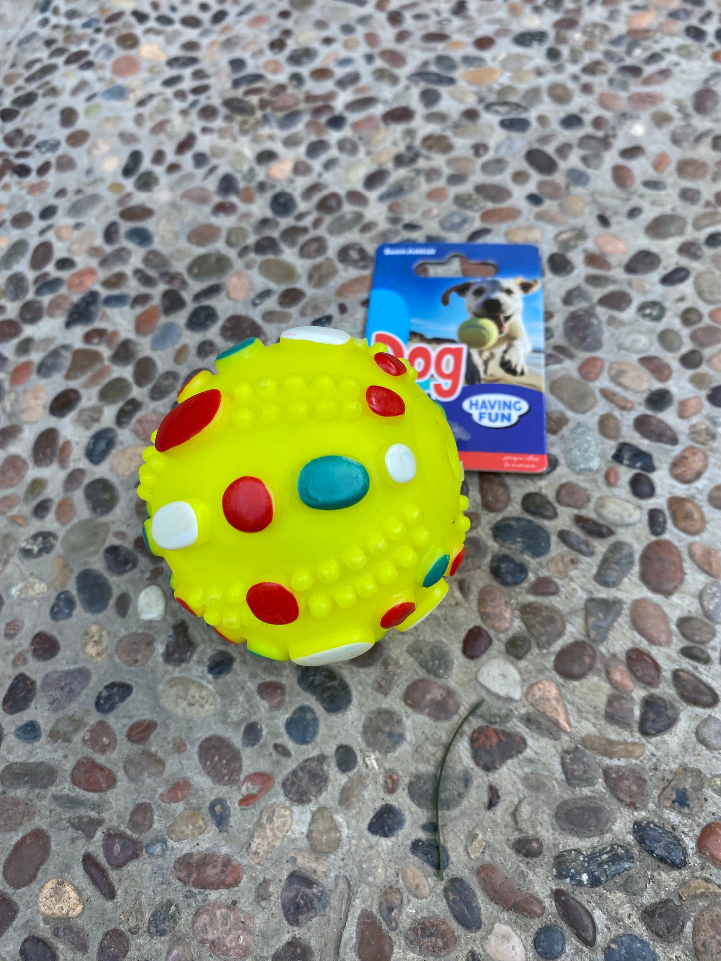 Pelota de Goma para Mascotas – Juguete