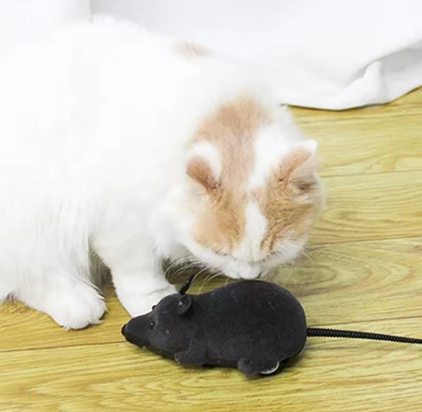 Juguete Ratón a Control Remoto para Gatos y Perros | Inalámbrico, Multicolor, Interactivo.