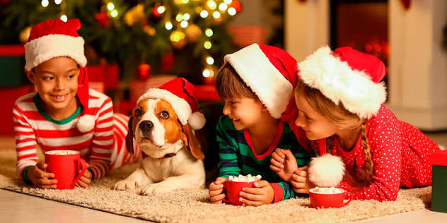 Navidad PetZyn – Magia y Regalos para tu Mascota