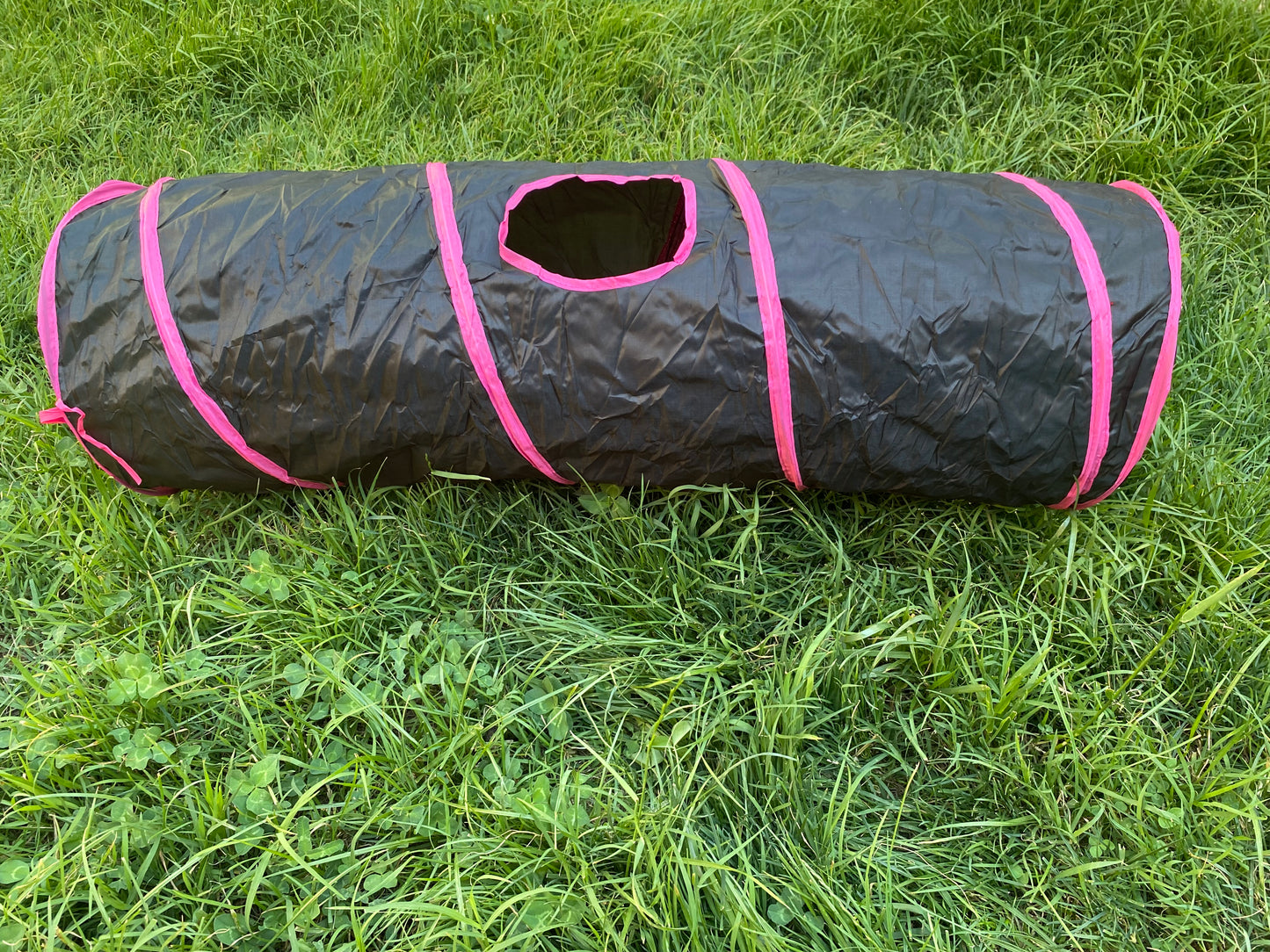 Túnel para Gatos – Diversión, Juego y Aventura