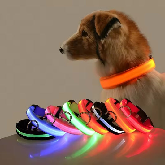 Collar LED Recargable para Perros | Antipérdida, Nocturno, Ajustable e Impermeable.
