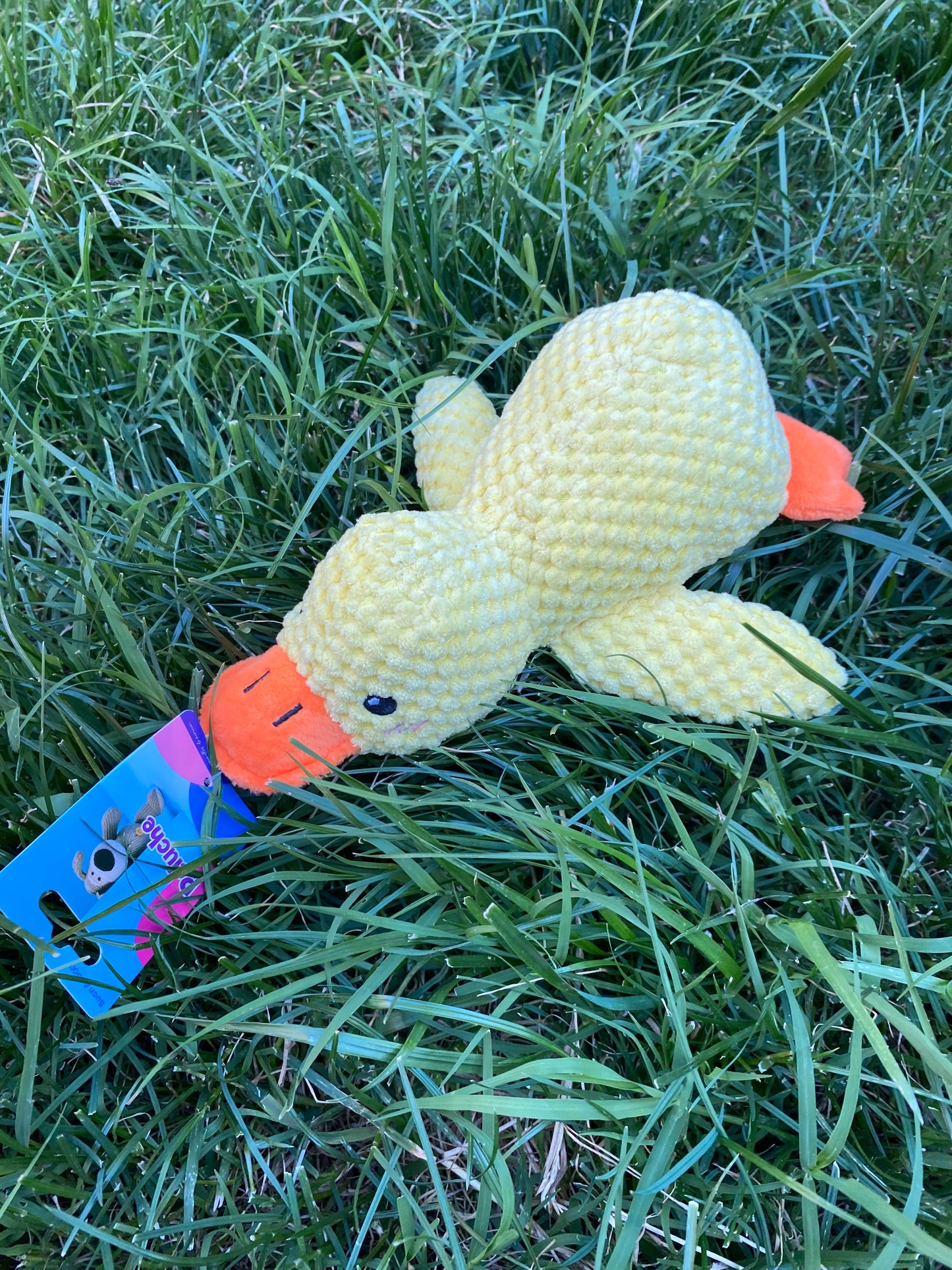 Peluche de Pato Amarillo para Mascotas – Duck Buddy