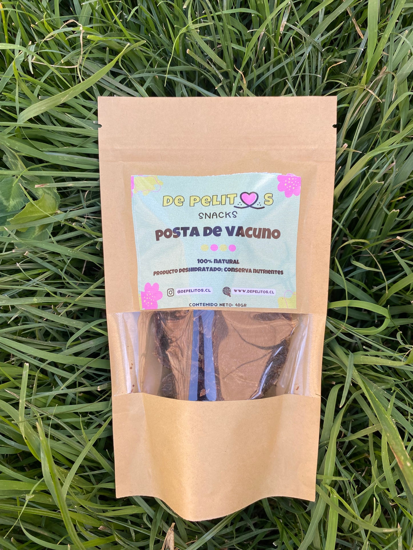 Posta de Vacuno Deshidratada – Snack Natural y Alto en Proteína