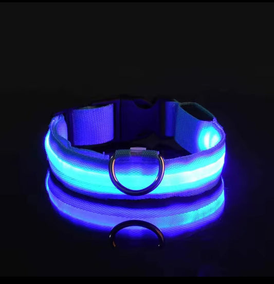 Collar LED Recargable para Perros | Antipérdida, Nocturno, Ajustable e Impermeable.
