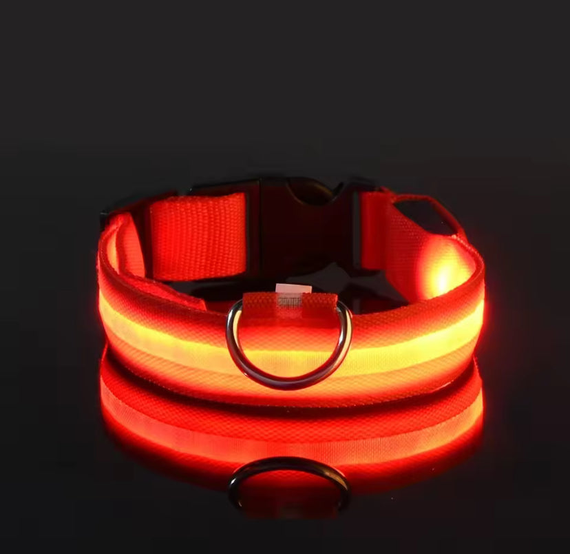 Collar LED Recargable para Perros | Antipérdida, Nocturno, Ajustable e Impermeable.
