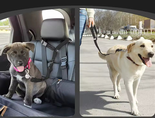 Cinturón de Seguridad Ajustable para Mascotas – Sujeción para Reposacabezas de Auto, Compatible con Perros y Gatos