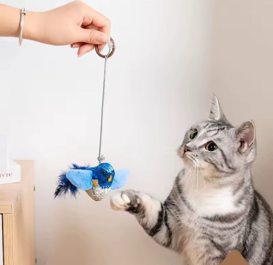 Juguete Interactivo para Gatos con Sonido de Pájaros y Catnip – Colgante de Pared Ideal para Gatos de Interior