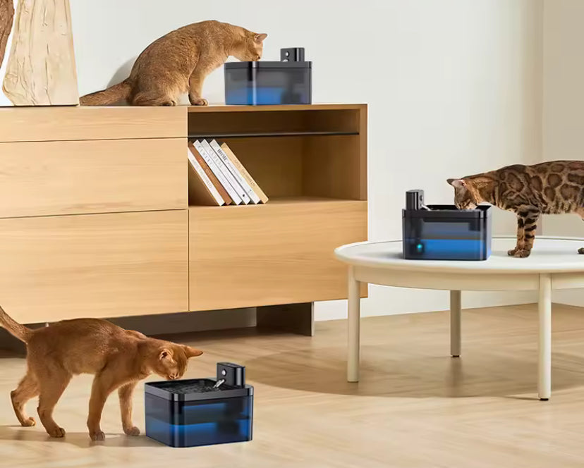 Bebedero Inteligente Inalámbrico para Gatos y Perros | 2.2L, Sensor Automático, Silencioso y Recargable.