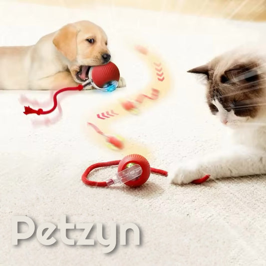 Pelota Inteligente para Gatos y Perros | Rodante, Recargable, Juguete Automático Interactivo.