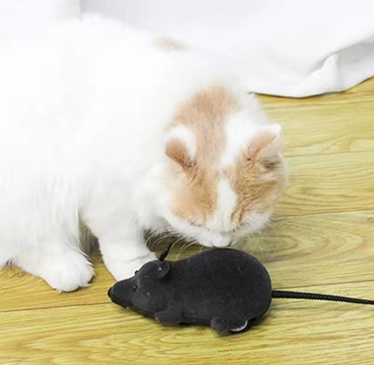 Juguete Ratón a Control Remoto para Gatos y Perros | Inalámbrico, Multicolor, Interactivo.