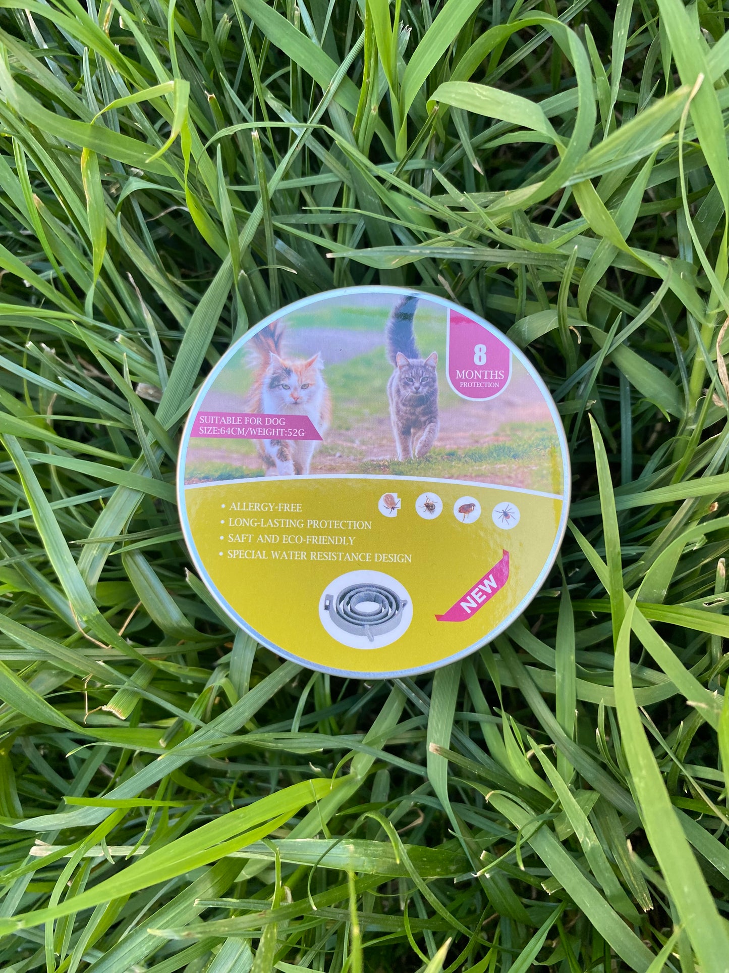 🛡️ Collar Antipulgas para Gatos – Protección Segura y de Larga Duración